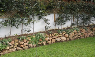 Landscapers Cape Town | Garden Irrigation | Grass Laying